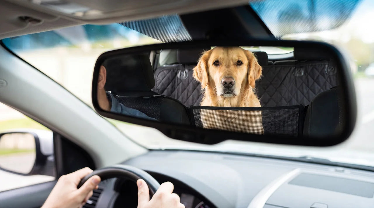Your dog goes everywhere with you. Your car shouldn't pay for it.